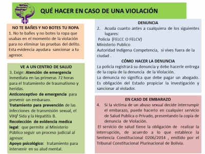 Embarazos no deseados en niñas, adolescentes, jóvenes y mujeres: Tres causales de interrupción Legal del embarazo den Bolivia.
